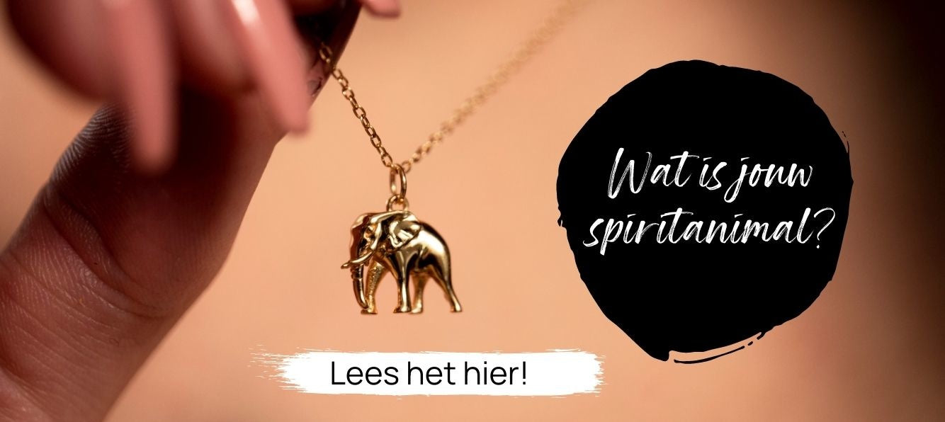 22. Wat is jouw spiritanimal_