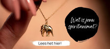22. Wat is jouw spiritanimal_