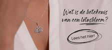 49. Wat is de betekenis van een lotus bloem_