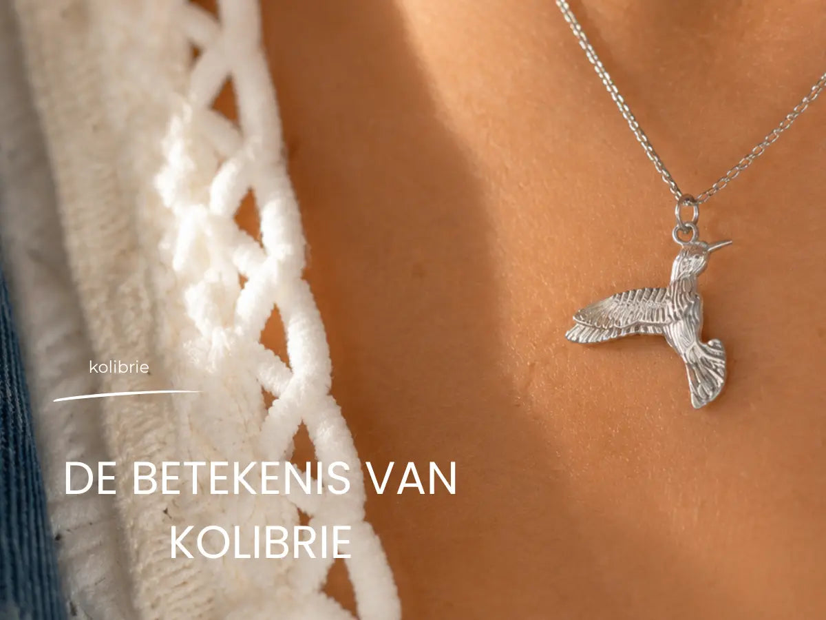 Kolibrie betekenis | De betekenis van de prachtige kolibrie sieraden
