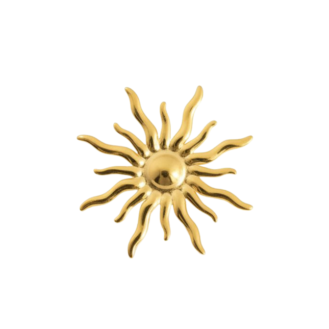 My Unique Style Broche Sol - goud