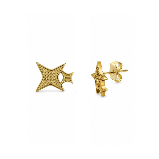 My Unique Style Star studs - stainless steel